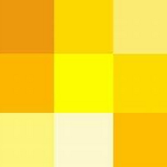 Meet your Posher, Joey - Picture 1 of 1